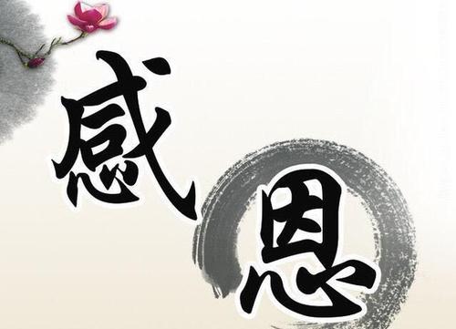 感恩别人的句子文案