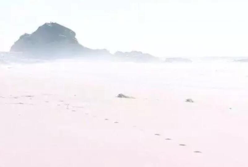 喜欢的人离开了的句子文案