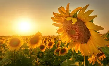 工作心态正能量句子文案一句话