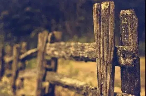 现实社会只有利益的句子文案