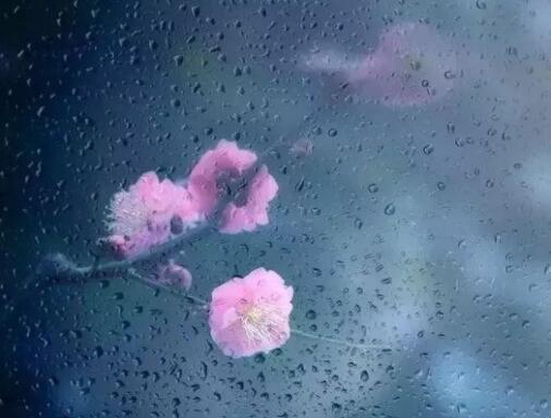 赞美春雷的优美句子文案