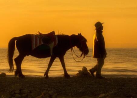 早安每天努力奋斗语录文案