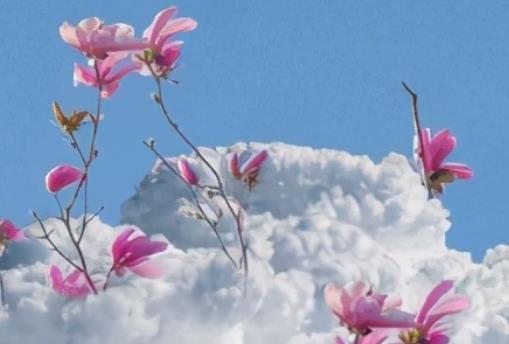 暖心的句子文案朋友