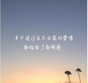 失恋的情感语录文案