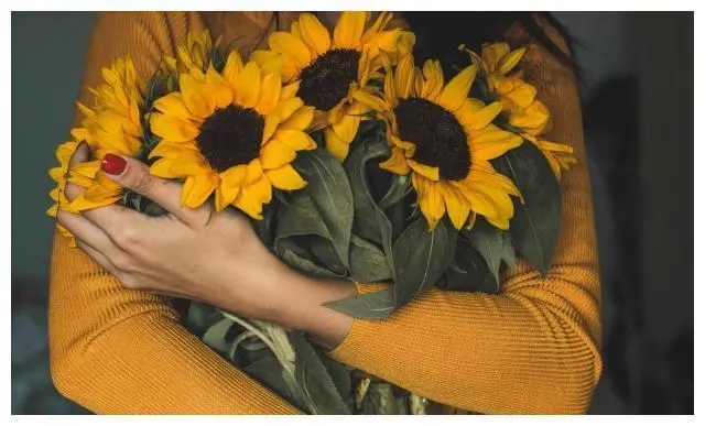 赞美中年女人励志的经典句子文案