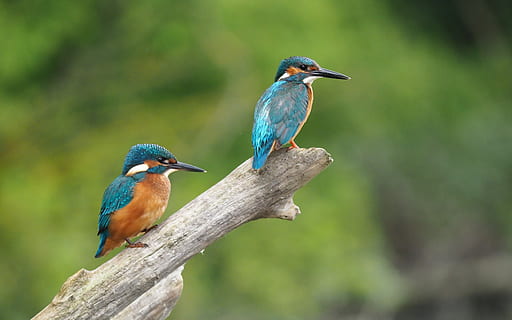 当一个人敷衍你的时候说说文案