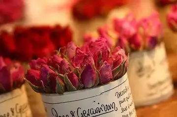 唯美优雅正能量句子文案