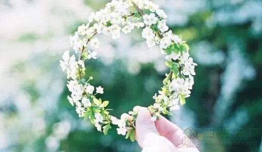 友谊短句八个字暖心