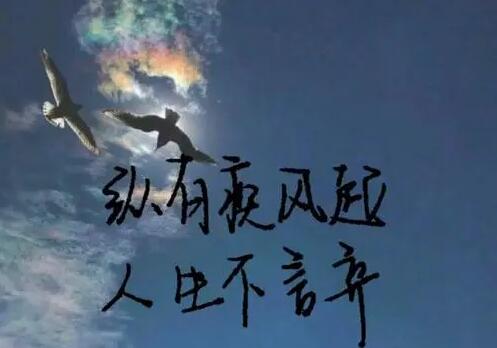 人生毒鸡汤励志语录文案