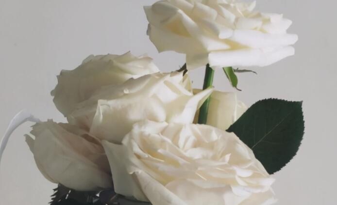 网络很火的句子文案加配图