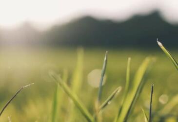 充满正能量的一段话