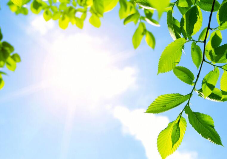 简短祝福语唯美