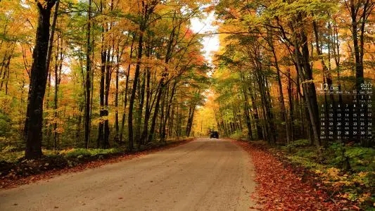 散文句子文案精选摘抄