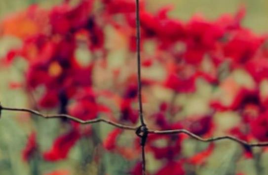 生气心情不爽的句子文案