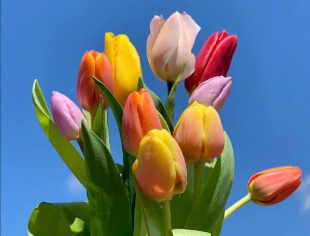 晚上发陌陌动态的句子文案