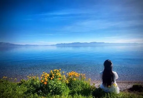 最美遇见的句子文案