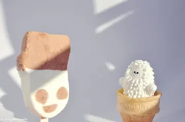 描写夏天的句子文案都有哪些