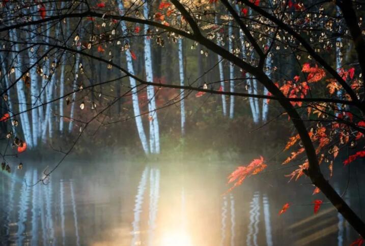 关于秋天的句子文案