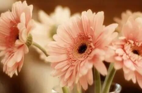 早安心语健康简单一句话