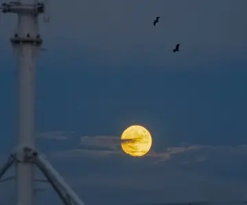 网易云经典语录文案