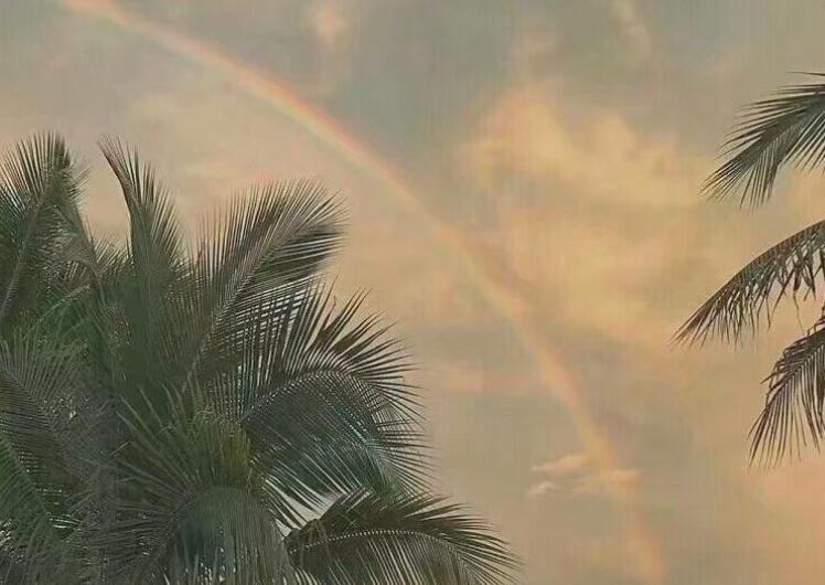 婉转的说分手的句子文案