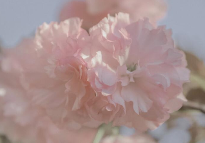 文案高级感温柔