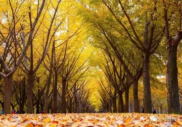 感慨岁月如梭的句子文案