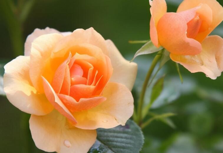 唯美励志的句子文案致自己