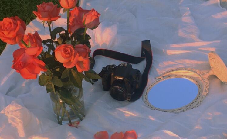 温柔撩人的句子文案