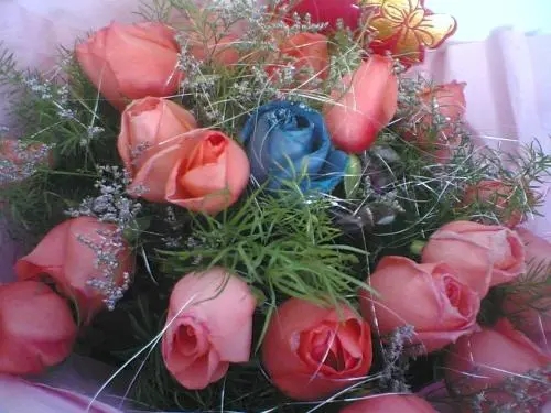 祝福姐姐漂亮的话