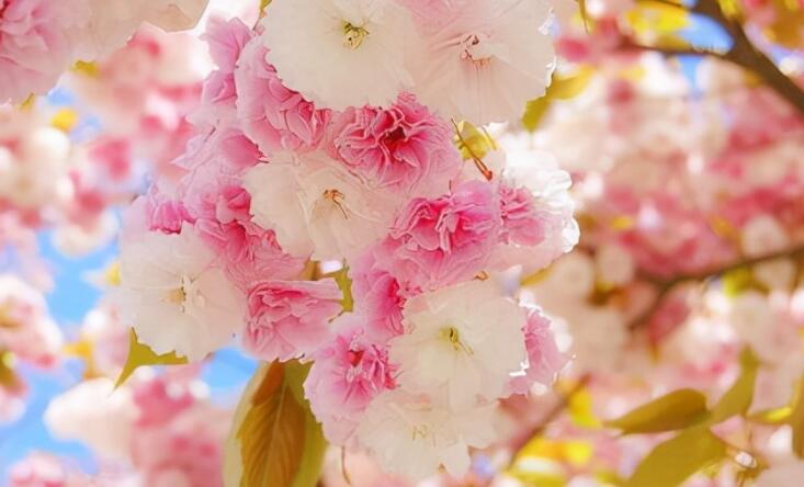 发个最伤感的说说文案怎么发