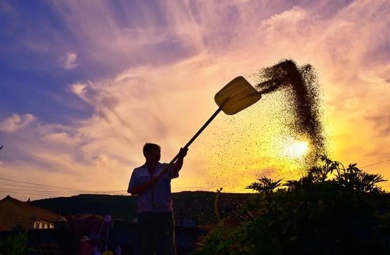 小学生爱劳动的句子文案