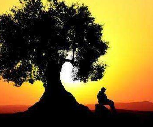 好段摘抄300字左右