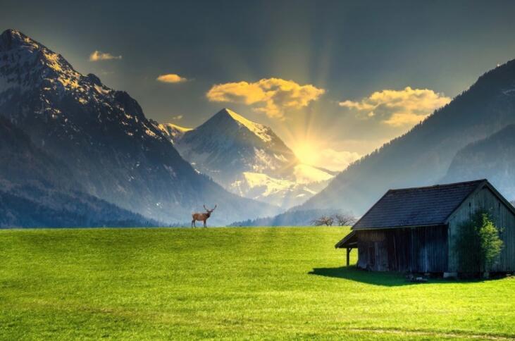 积极向上的古诗