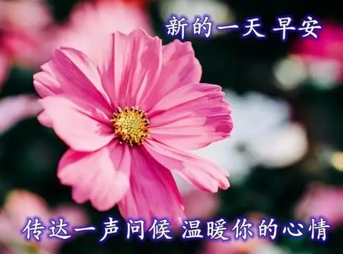 暖心祝福语简短8字