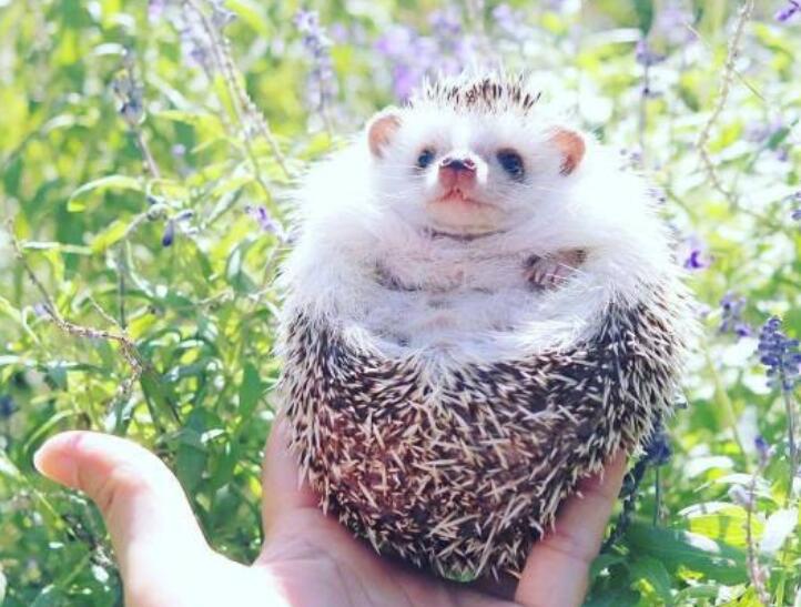 经典句子文案句句穿心