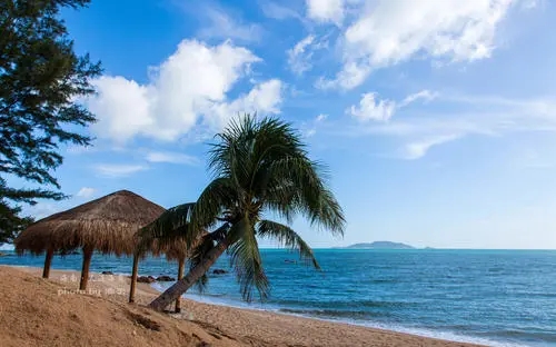 碧海蓝天沙滩的诗句文案