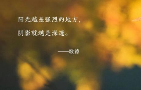 十六字经典语录文案励志