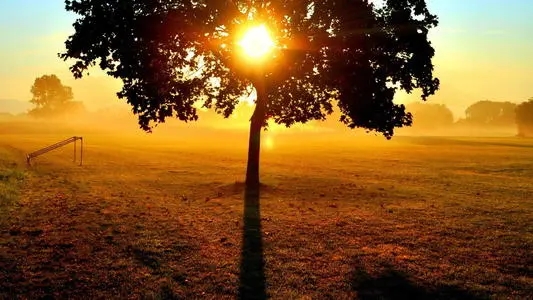 早上心情好充满阳光的句子文案