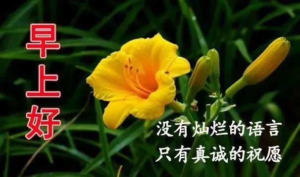 早上问候语简短加图片