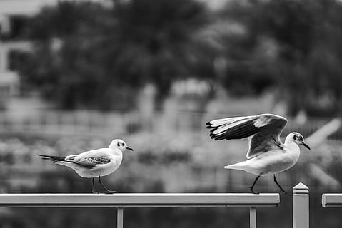 夫妻同甘共苦的一段话