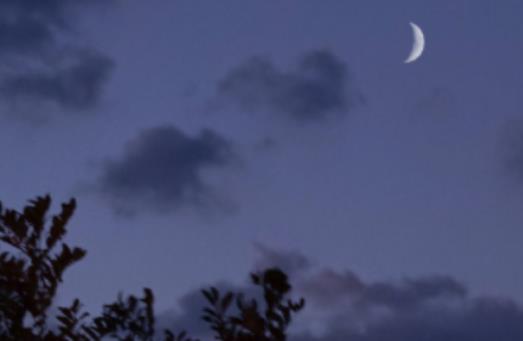 萌萌哒晚安的说说句子文案