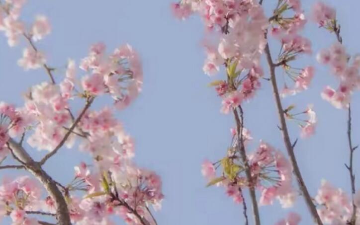 文艺高级唯美句子文案