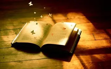 好词好句文案好段感悟