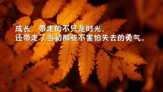 2024奋斗励志句子文案