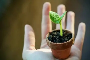 描写吃苦的诗句文案