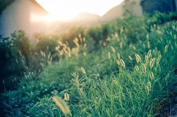 静心励志的经典语录文案