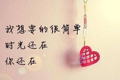 感情被伤透的句子文案