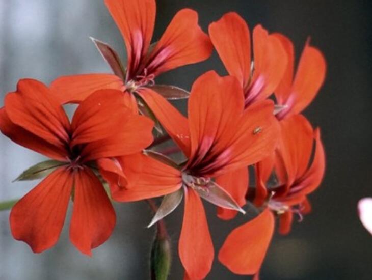 伤感的句子文案话