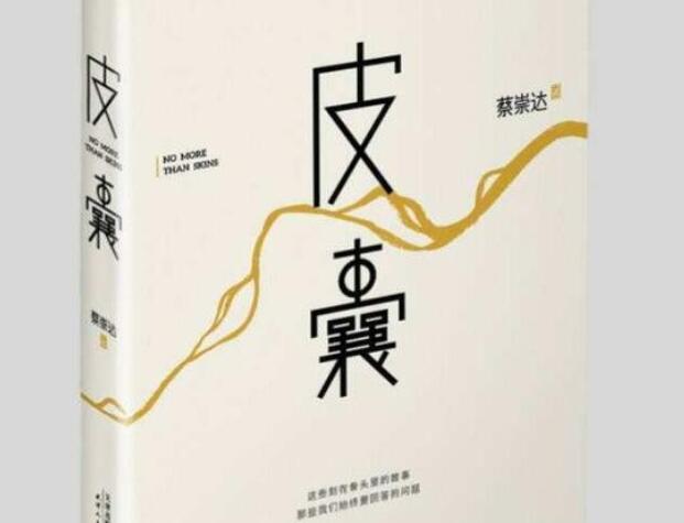 皮囊经典语录文案